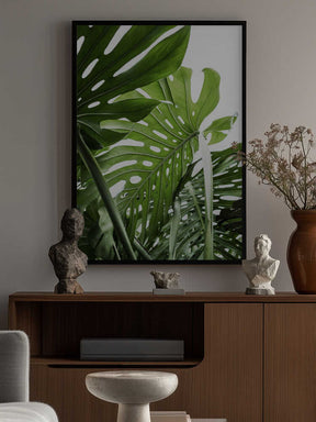 Jungle Poster