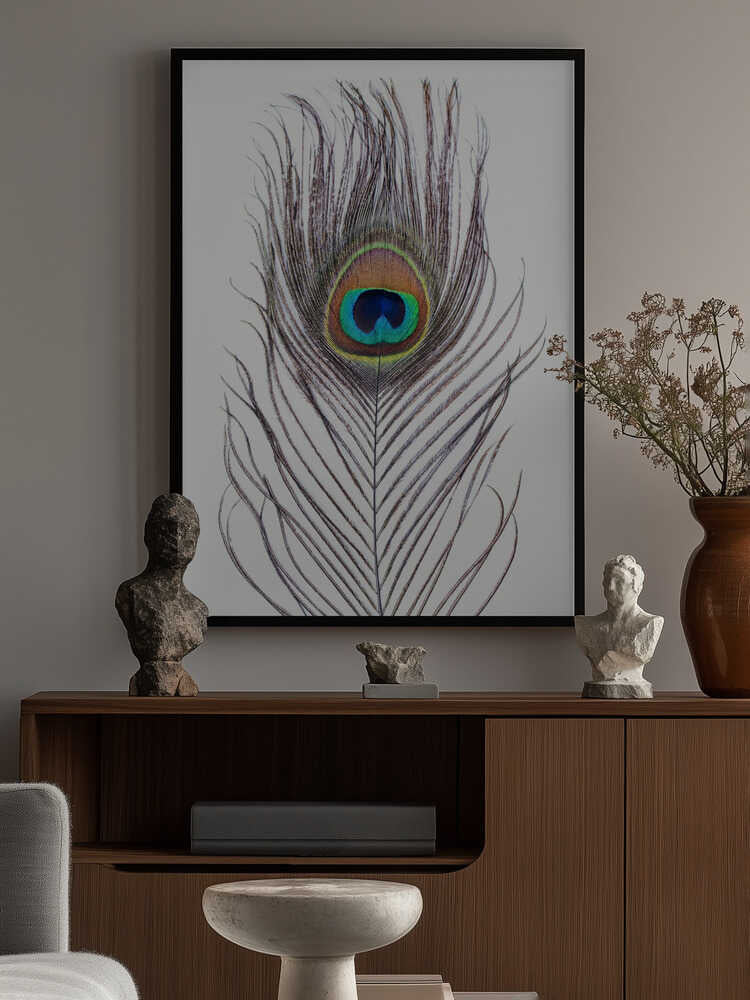 Peacock Feather Poster