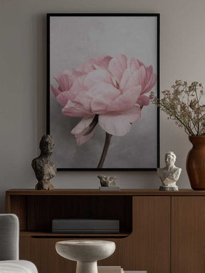 Peony Poster
