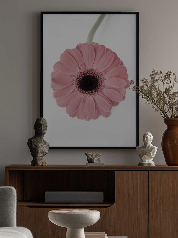 Pink Gerbera II Poster