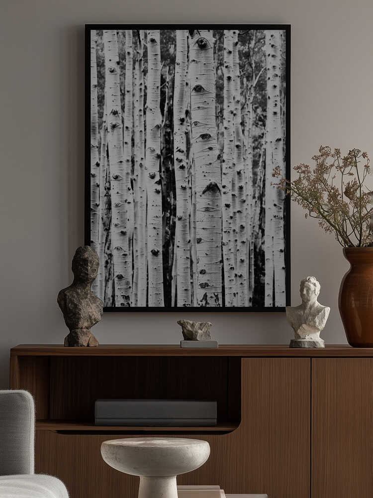 Birches Poster