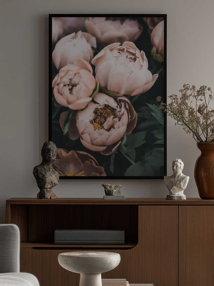 Coral Peonies Poster