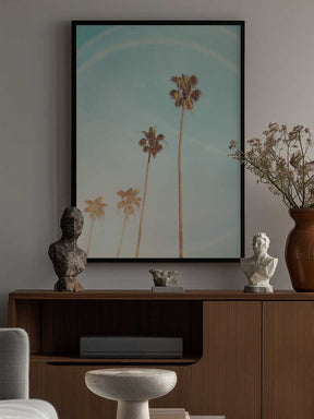 Sunny Cali Palm Tree Poster