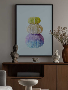 Sea Urchins Poster