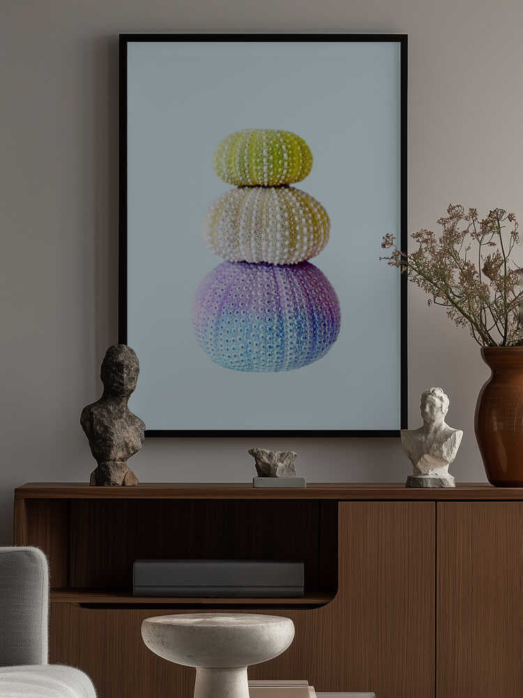Sea Urchins Poster
