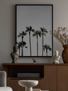 Palm Trees 5 Poster