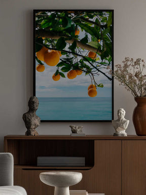 Amalfi Coast Oranges IV Poster