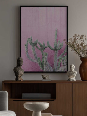 Cactus On Pink Poster
