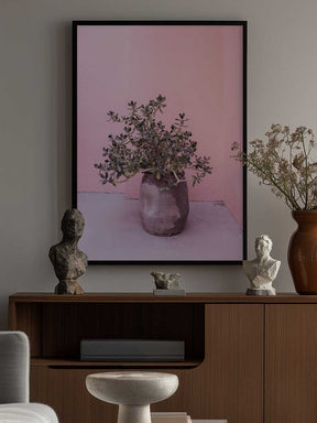 Spanish Rustic Succulent Poster