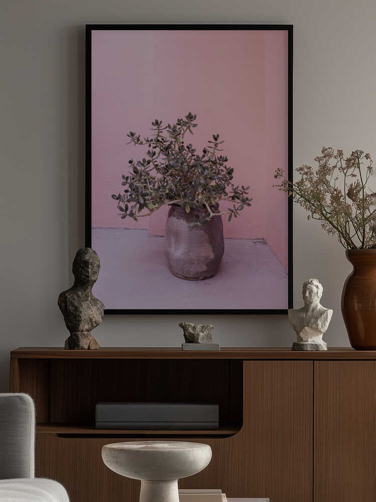 Spanish Rustic Succulent Poster