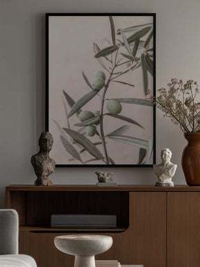 Olives Poster