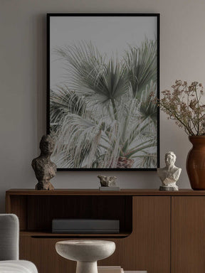 Palm Leaf Poster