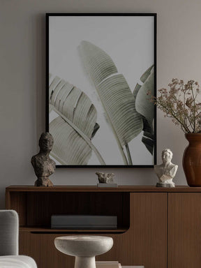 Banana leaf 1 Poster