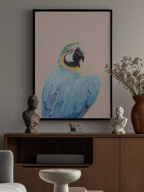 Blue Macaw Poster