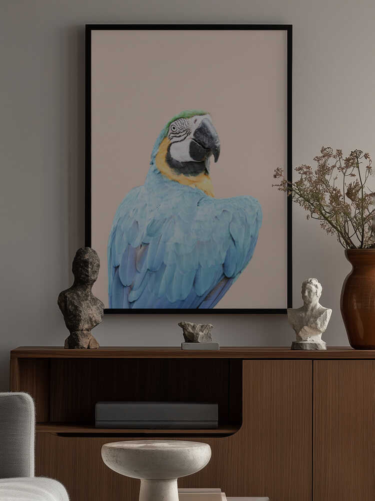 Blue Macaw Poster