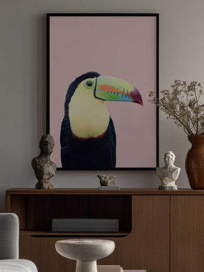 Toucan on Pink Poster