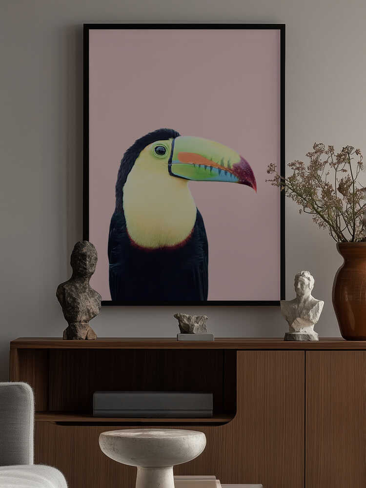 Toucan on Pink Poster