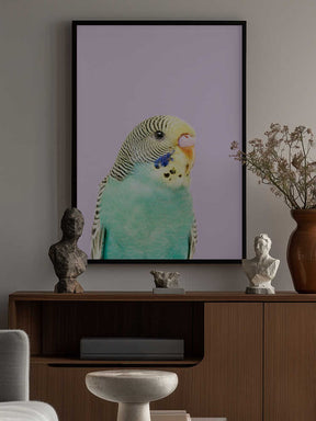 Badgie Poster