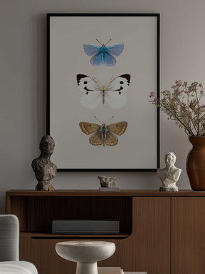 English Butterlies 2 Poster