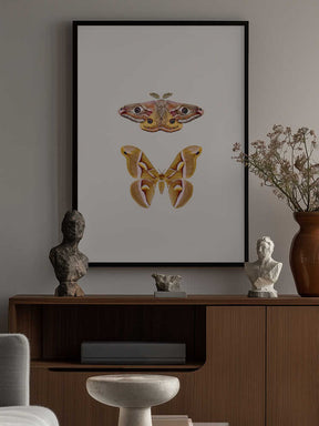 Moths Poster