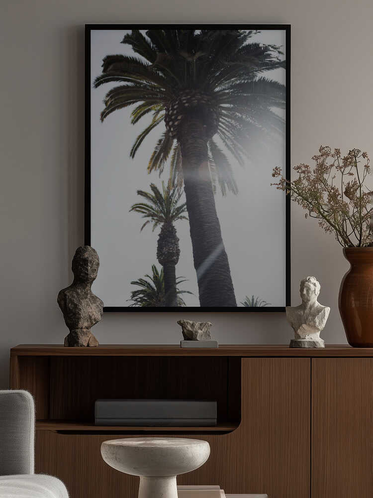 Palm Trees Poster