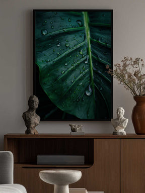 Rain Kissed Leaf Poster