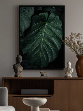 Rain Kissed Leaves Poster
