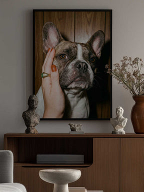 Petting a Frenchie Poster