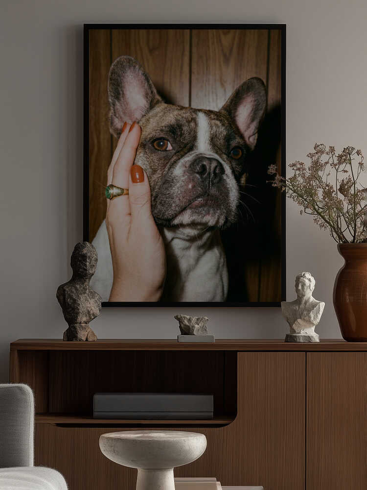 Petting a Frenchie Poster