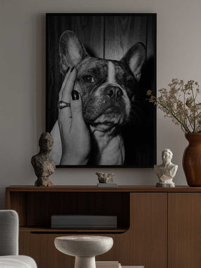 Petting a Frenchie Poster