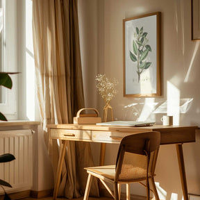 Wintera Aromatica Medical Botany Poster