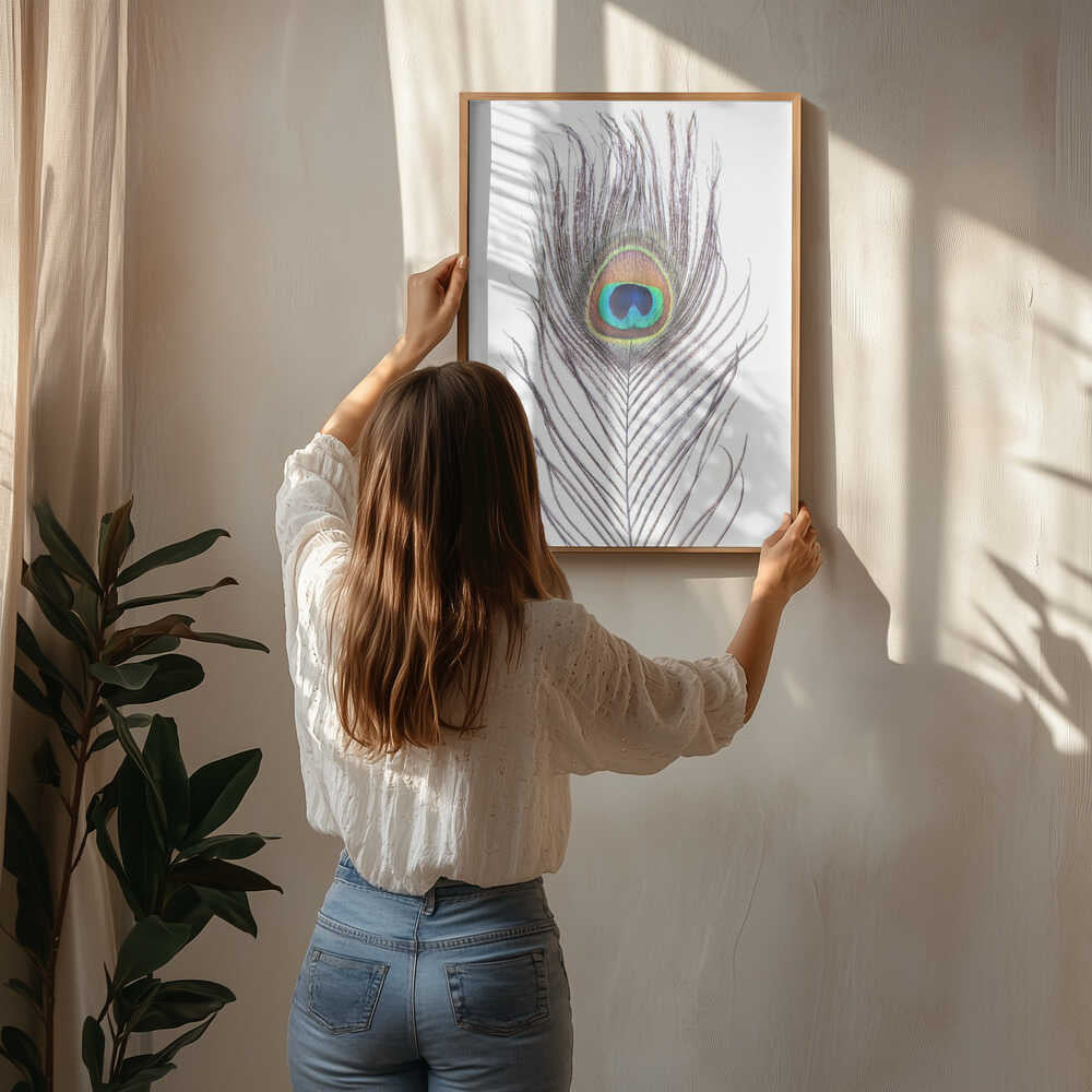 Peacock Feather Poster