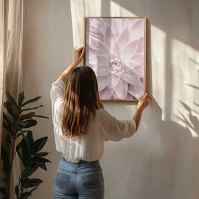 Pink Succulent Poster