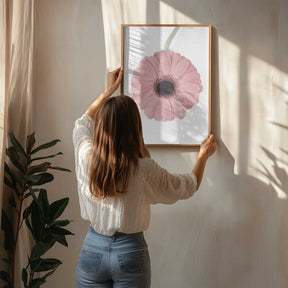 Pink Gerbera II Poster