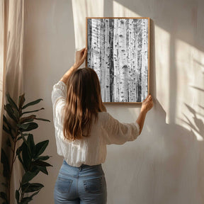Birches Poster