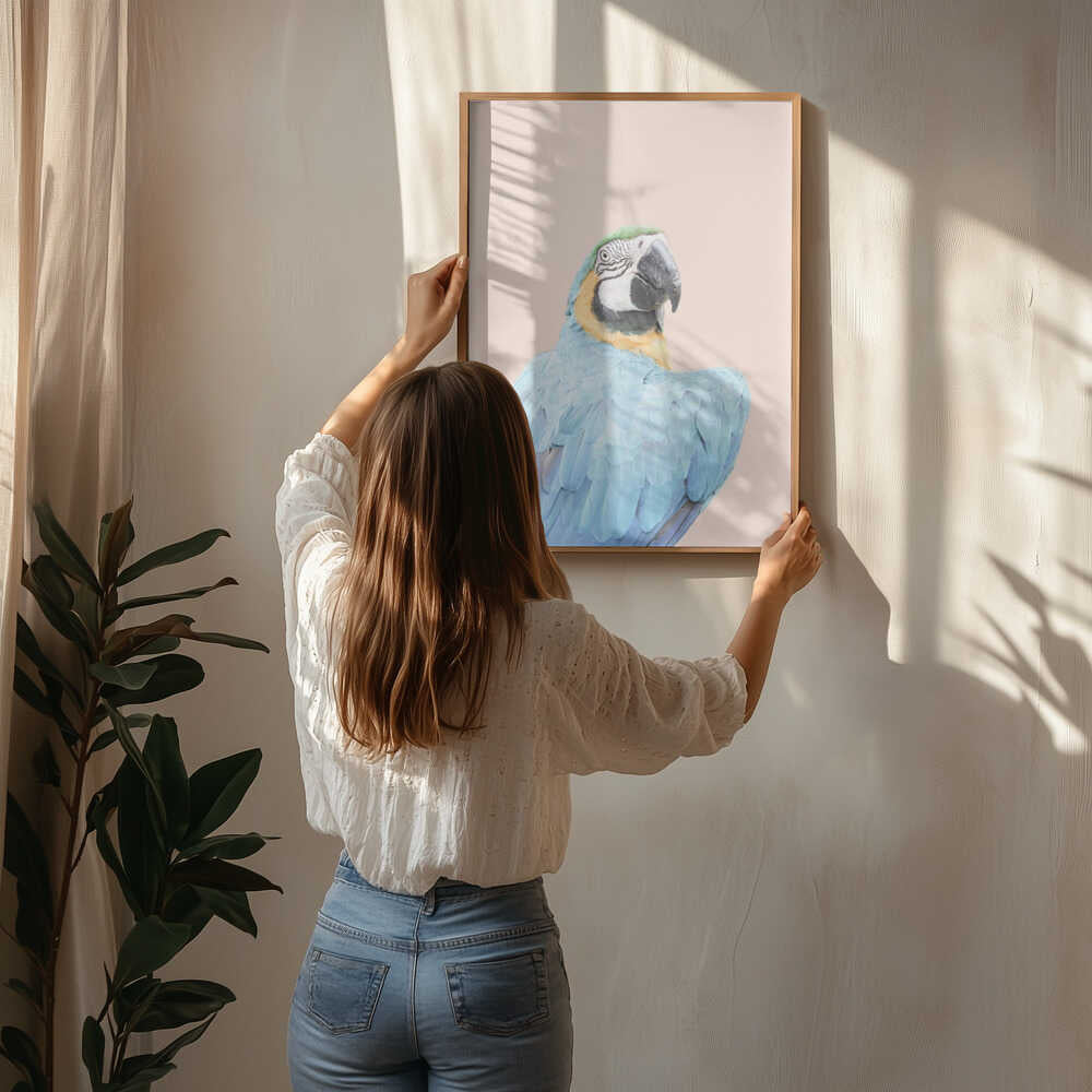 Blue Macaw Poster