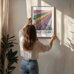 Tulip Fields Poster