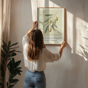 Olive Taggiasche Poster
