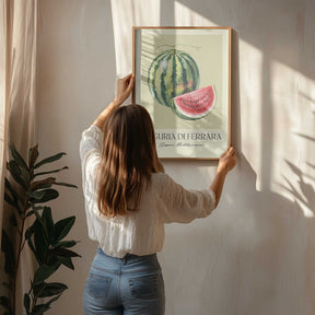 Anguria Di Ferrara Poster