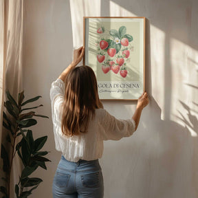 Fragola Di Cesena Poster