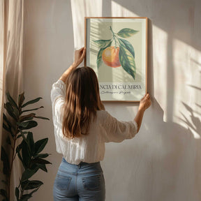 Arancia Di Calabria Poster