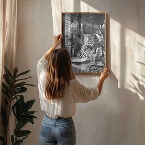 Leopard’s Luxurious Feast Poster