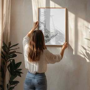 Curious Cat Poster