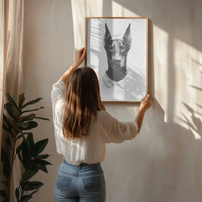 Doberman In Polo Shirt Poster