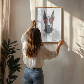 Doberman In Polo Shirt Poster
