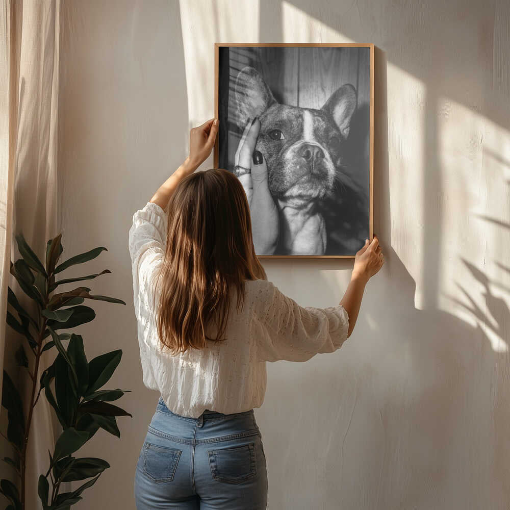 Petting a Frenchie Poster