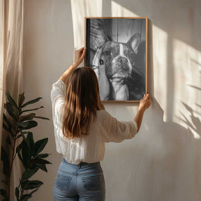 Petting a Frenchie Poster